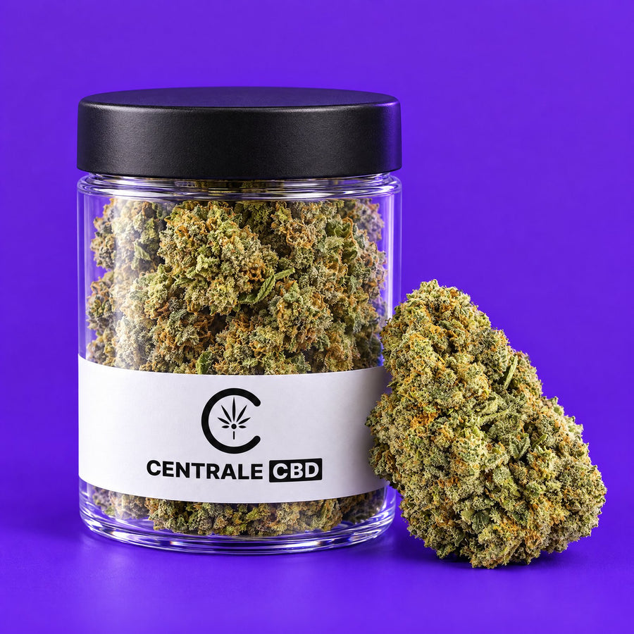 Fleurs – Cookies – Indoor – 5 x 2,5 g · pot transparent