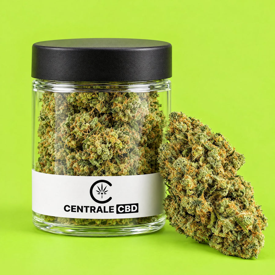 Fleurs – Amnesia – 5 x 2,5 g · pot transparent