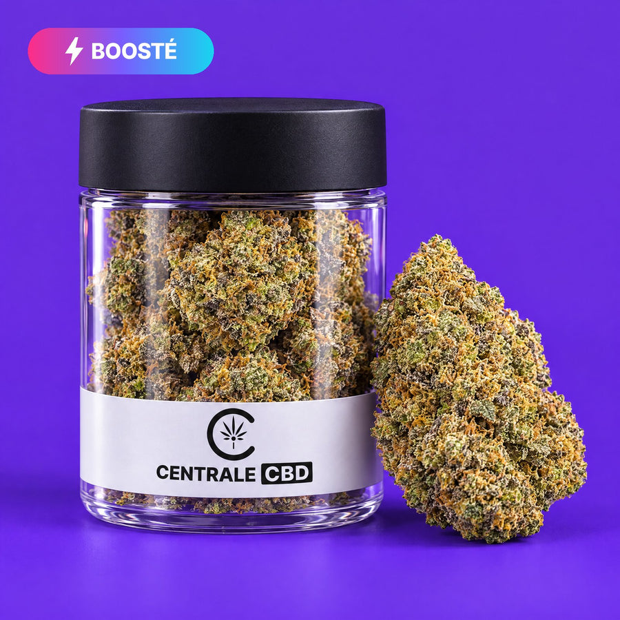 Fleurs – Purple Haze – Indoor – BOOSTÉE CBN – 5 x 2,5 g · pot transparent