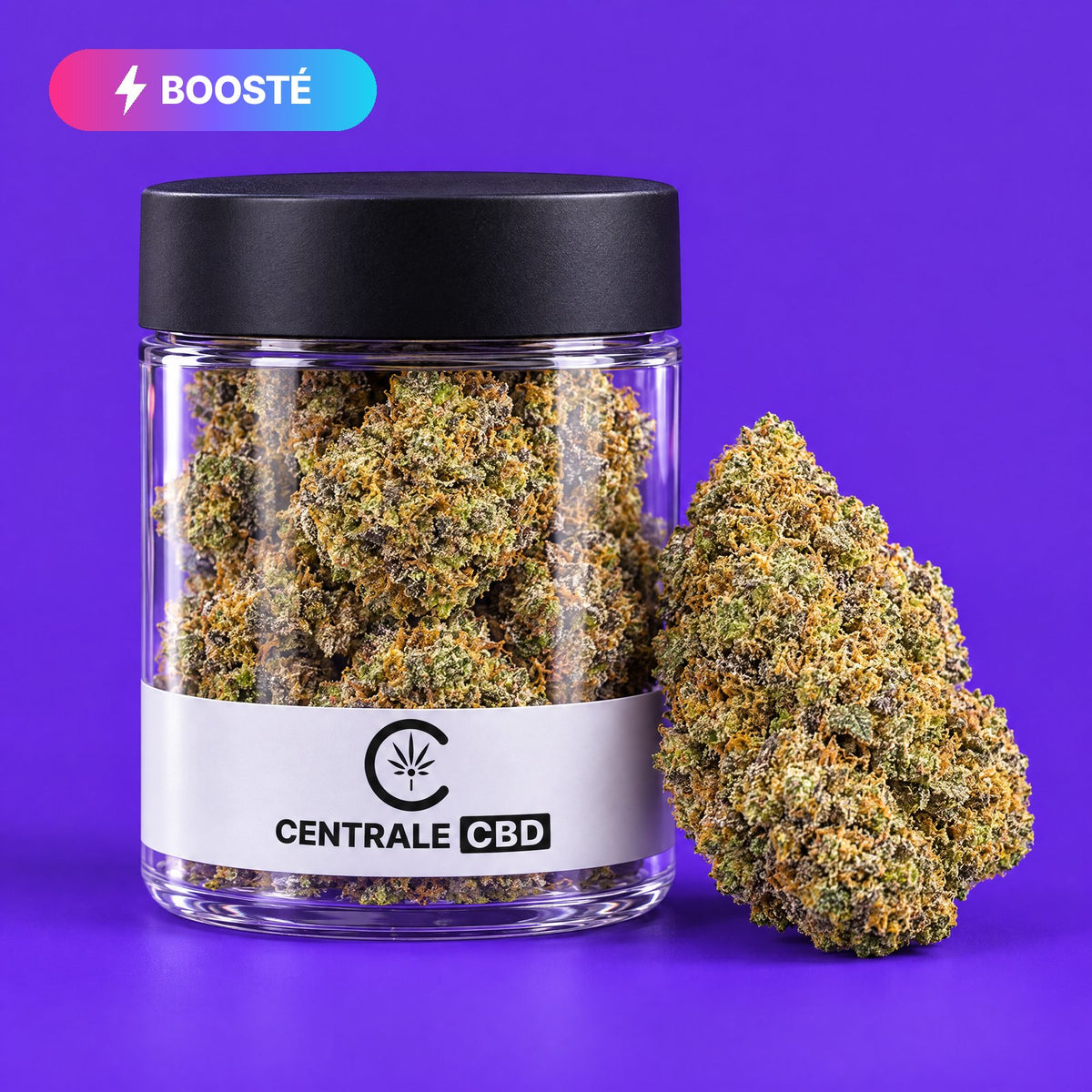 Fleurs – Purple Haze – Indoor – BOOSTÉE – 10 x 1,25 g · pot transparent
