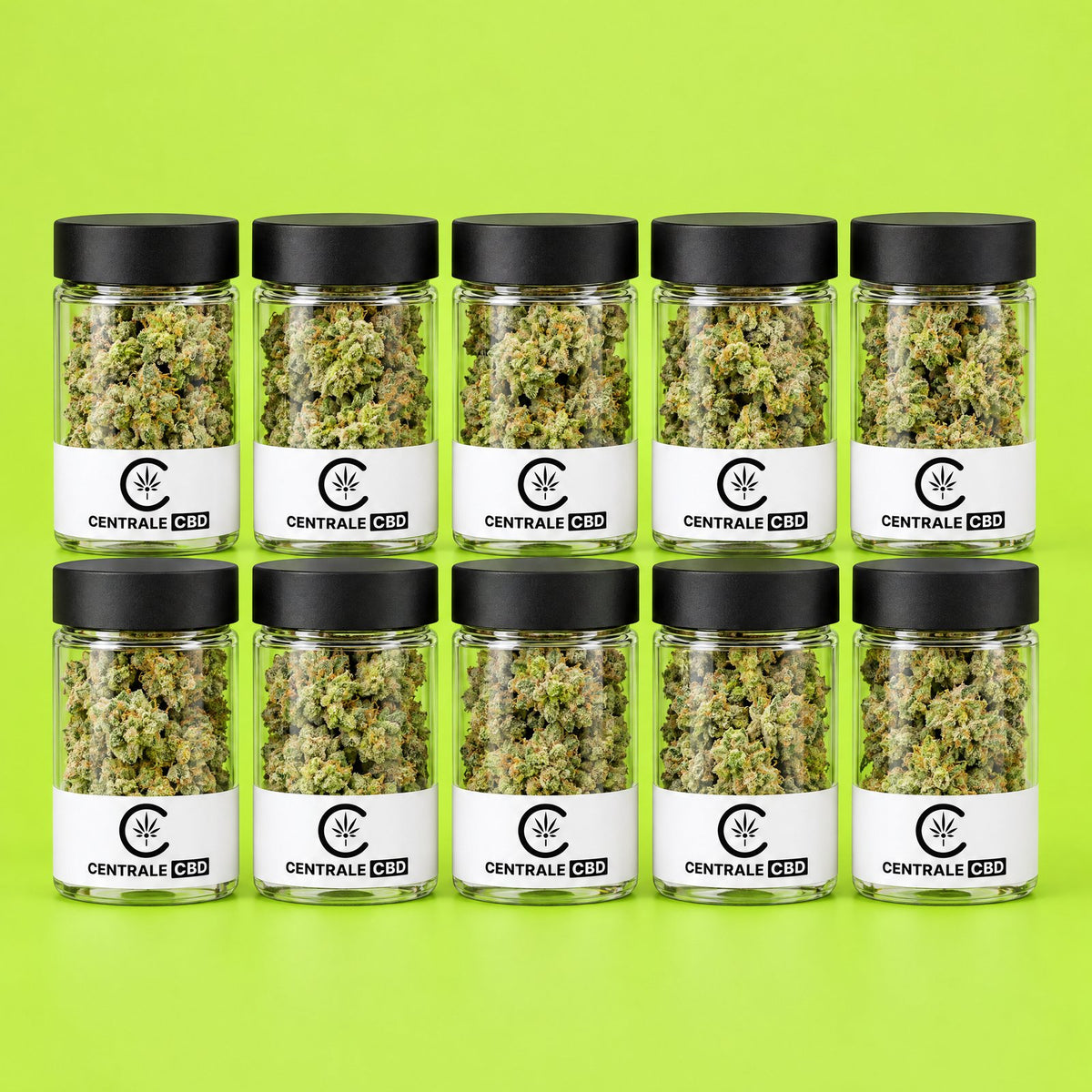 Fleurs – Limoncello – 10 x 1,25 g · pack de 10 pots