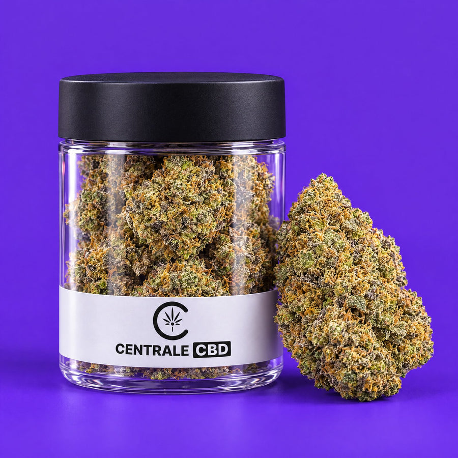 Fleurs – Purple Haze – Indoor – 5 x 2,5 g · pot transparent