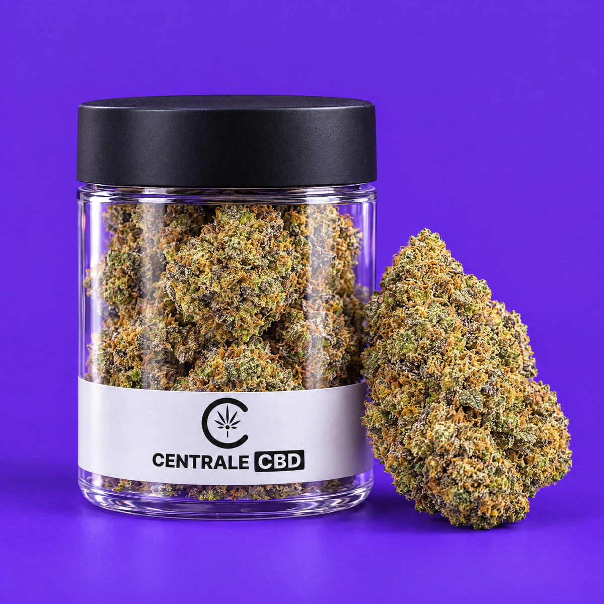 Fleurs – Purple Haze – Indoor – 10 x 1,25 g · pot transparent