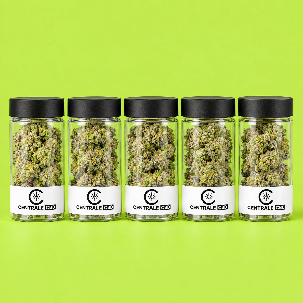 Fleurs – Limoncello – 5 x 2,5 g · pack de 5 pots