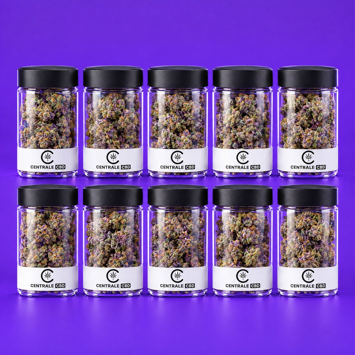 Fleurs – Cookies – Indoor – BOOSTÉE – 10 x 1,25 g · pack de 10 pots