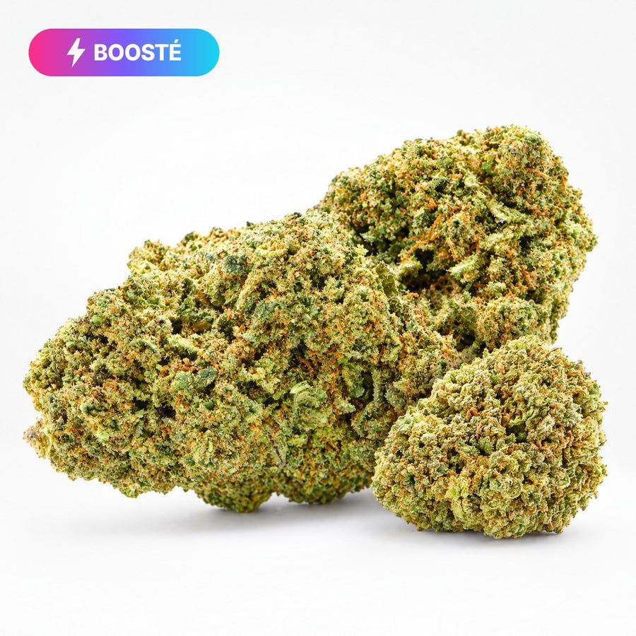 Fleurs – Gelato – BOOSTÉE – Vrac · vrac