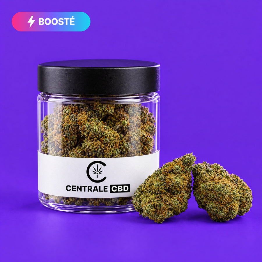 Fleurs – US Cali – Indoor – BOOSTÉE CBN – 10 x 1,25 g · pot transparent