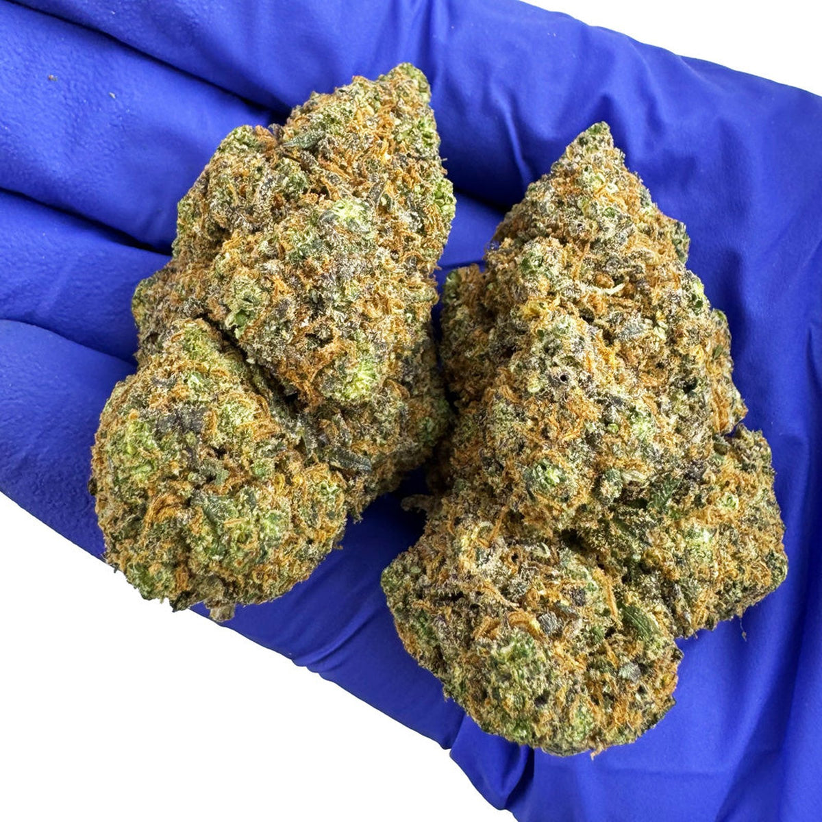 Fleurs – Purple Haze – Indoor – Vrac · photo réelle