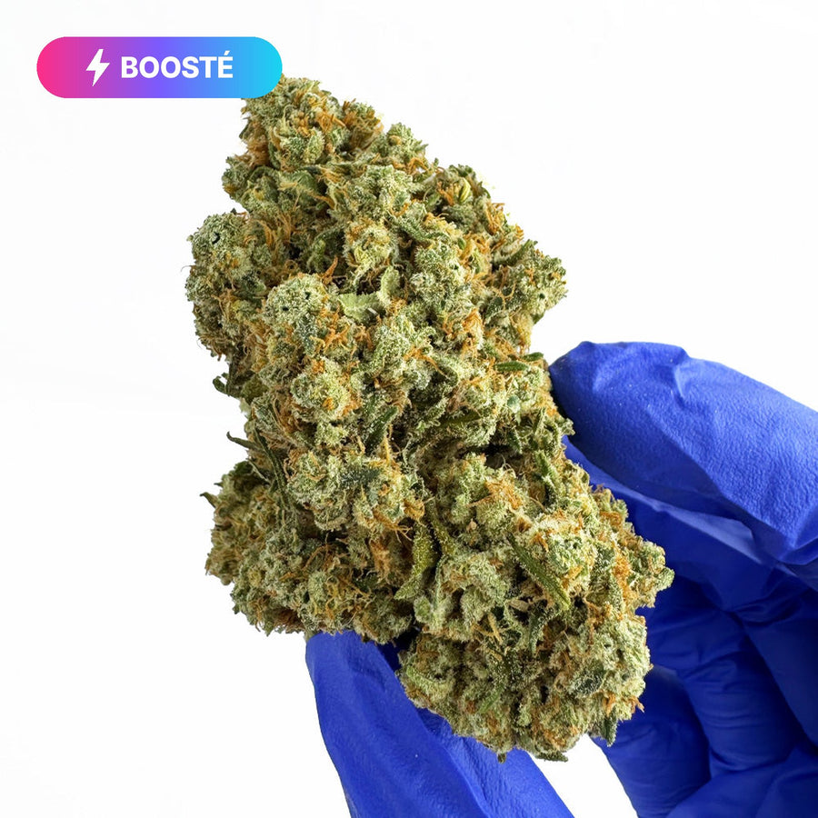 Fleurs – Amnesia – BOOSTÉE – Vrac · photo réelle